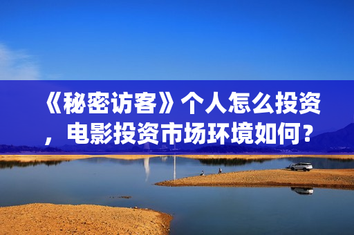 《秘密访客》个人怎么投资，电影投资市场环境如何？(秘密访客最全解析)