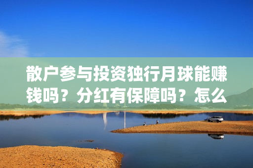 散户参与投资独行月球能赚钱吗？分红有保障吗？怎么确保份额真实？(散户能成为股东吗)