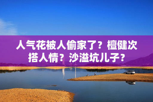 人气花被人偷家了？檀健次搭人情？沙溢坑儿子？