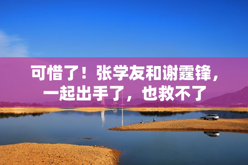 可惜了！张学友和谢霆锋，一起出手了，也救不了