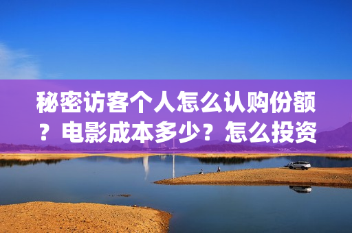 秘密访客个人怎么认购份额？电影成本多少？怎么投资？(秘密访客隐藏细节)