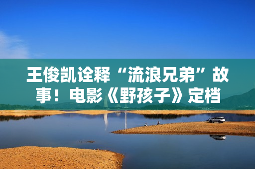 王俊凯诠释“流浪兄弟”故事！电影《野孩子》定档