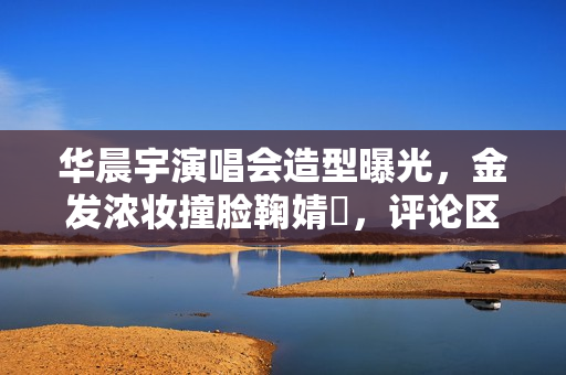 华晨宇演唱会造型曝光，金发浓妆撞脸鞠婧祎，评论区尴尬了