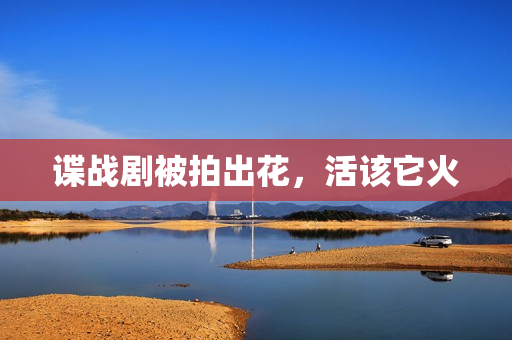 谍战剧被拍出花，活该它火