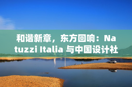 和谐新章，东方回响：Natuzzi Italia 与中国设计社群的深度对话(和谐hxn)