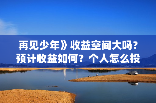 再见少年》收益空间大吗？预计收益如何？个人怎么投资(再见少年总投资是多少)