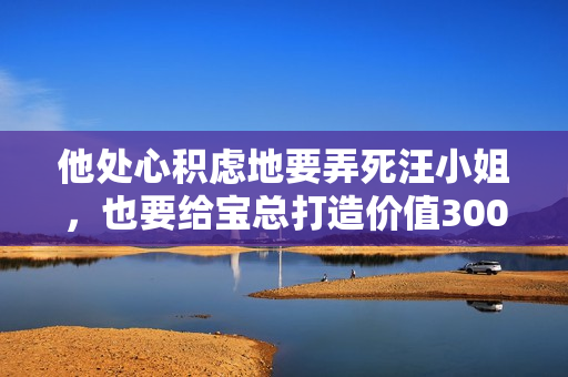 他处心积虑地要弄死汪小姐，也要给宝总打造价值300万的逃生通道