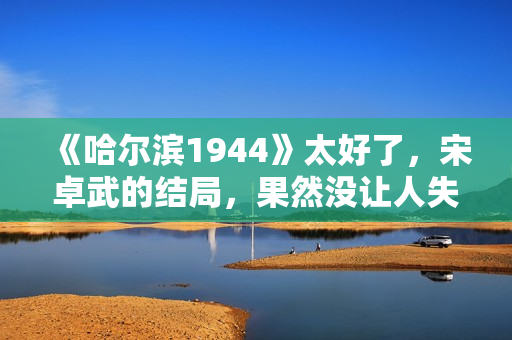 《哈尔滨1944》太好了，宋卓武的结局，果然没让人失望