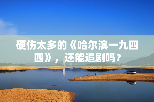 硬伤太多的《哈尔滨一九四四》，还能追剧吗？