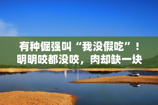 有种倔强叫“我没假吃”!明明咬都没咬,肉却缺一块,当观众瞎吗 有种倔强叫“我没假吃”!明明咬都没咬,肉却缺一块,当观众瞎吗