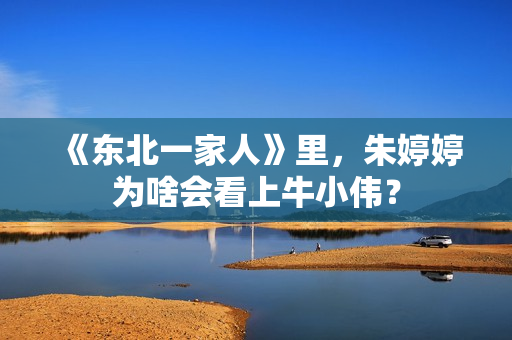 《东北一家人》里,朱婷婷为啥会看上牛小伟? 《东北一家人》里,朱婷婷为啥会看上牛小伟?