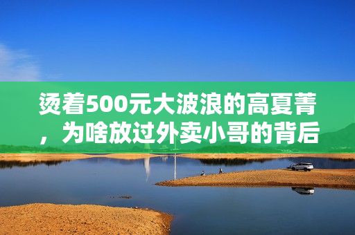 烫着500元大波浪的高夏菁，为啥放过外卖小哥的背后全是算计？