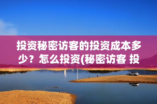 投资秘密访客的投资成本多少？怎么投资(秘密访客 投资方)