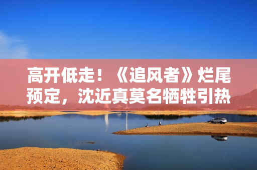 高开低走！《追风者》烂尾预定，沈近真莫名牺牲引热议