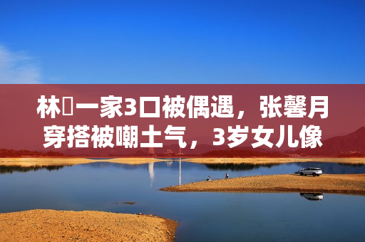 林峯一家3口被偶遇，张馨月穿搭被嘲土气，3岁女儿像爸爸