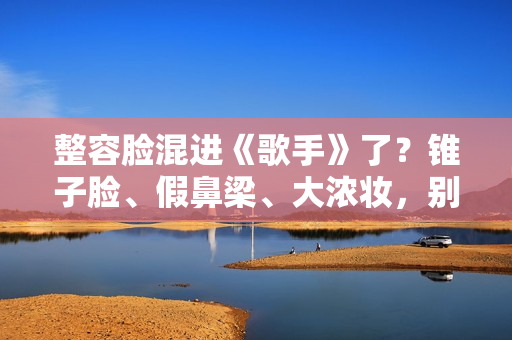 整容脸混进《歌手》了？锥子脸、假鼻梁、大浓妆，别辣观众眼睛了