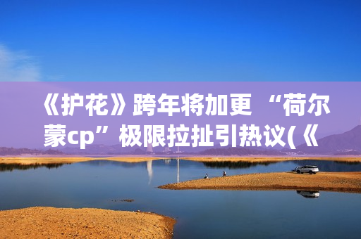 《护花》跨年将加更 “荷尔蒙cp”极限拉扯引热议(《护花使者》演唱视频)
