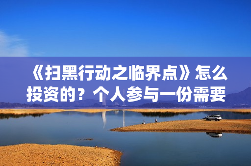 《扫黑行动之临界点》怎么投资的？个人参与一份需要多少成本？定档了吗？(扫黑行动第一集)