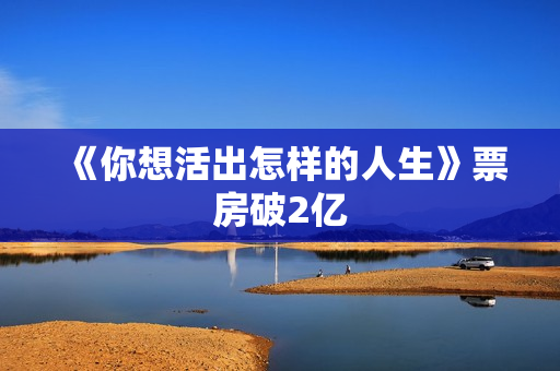 《你想活出怎样的人生》票房破2亿