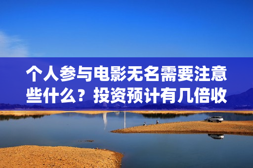 个人参与电影无名需要注意些什么？投资预计有几倍收益？(个人电影投资是真的吗)
