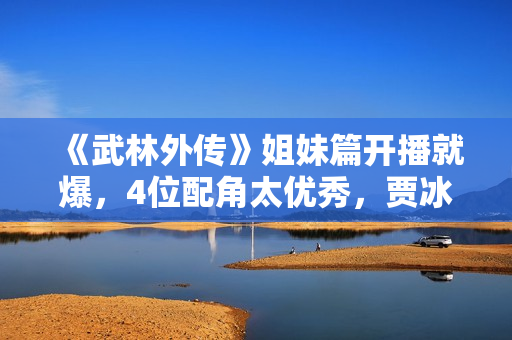 《武林外传》姐妹篇开播就爆，4位配角太优秀，贾冰也被抢了风头