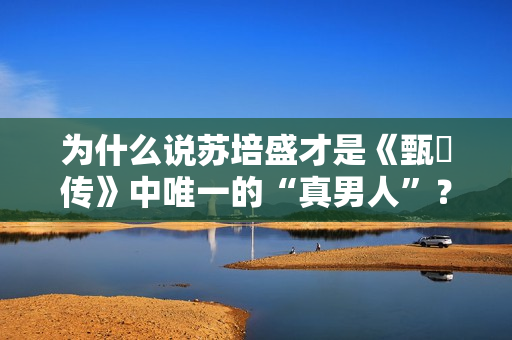 为什么说苏培盛才是《甄嬛传》中唯一的“真男人”？