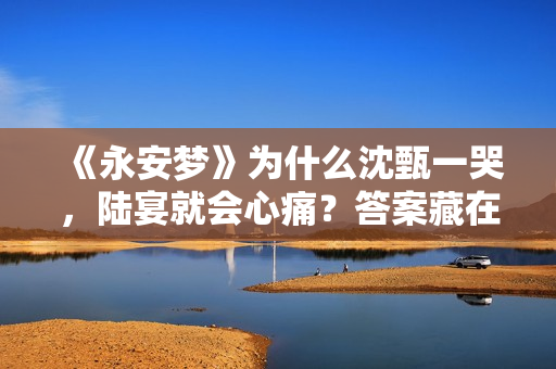 《永安梦》为什么沈甄一哭,陆宴就会心痛?答案藏在上一世 《永安梦》为什么沈甄一哭,陆宴就会心痛?答案藏在上一世