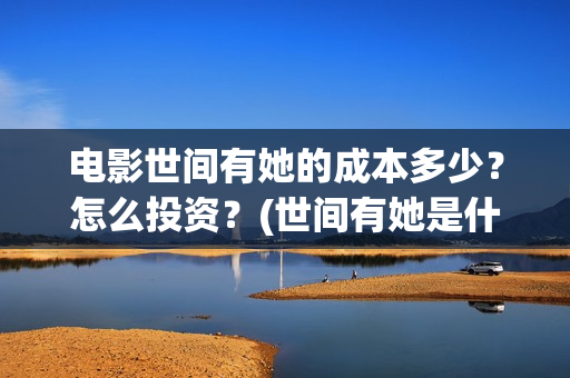 电影世间有她的成本多少？怎么投资？(世间有她是什么片)