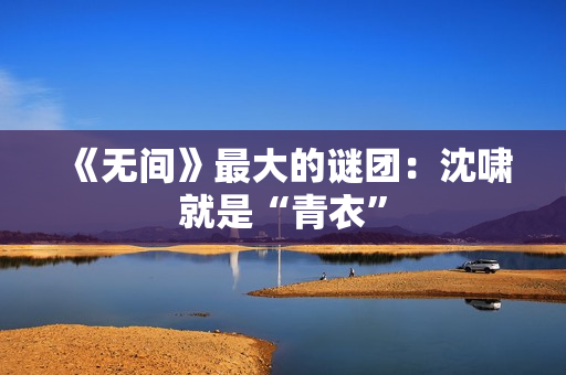 《无间》最大的谜团：沈啸就是“青衣”