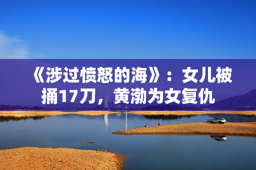 《涉过愤怒的海》：女儿被捅17刀，黄渤为女复仇