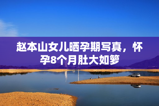 赵本山女儿晒孕期写真，怀孕8个月肚大如箩