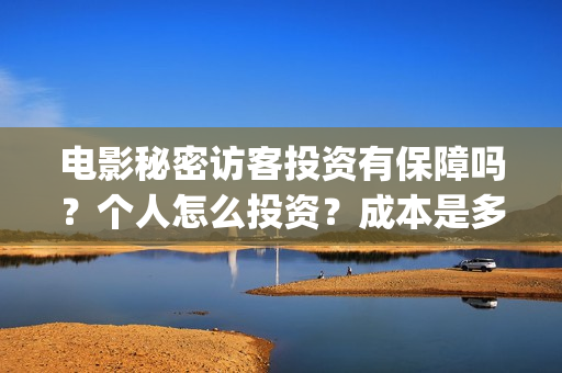 电影秘密访客投资有保障吗？个人怎么投资？成本是多少？(秘密访客电影票)