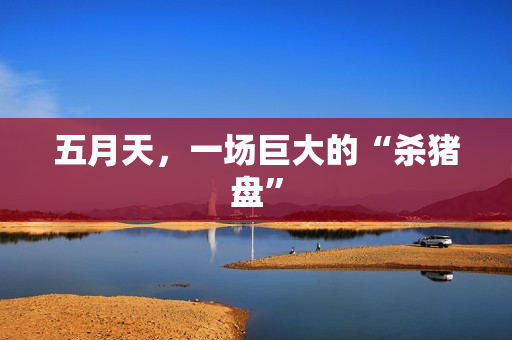 五月天，一场巨大的“杀猪盘”