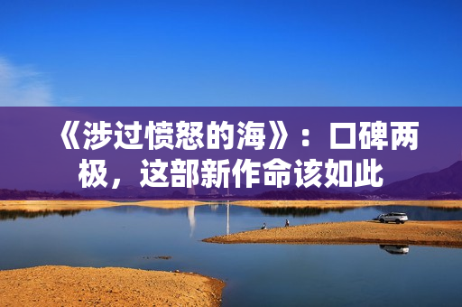 《涉过愤怒的海》：口碑两极，这部新作命该如此