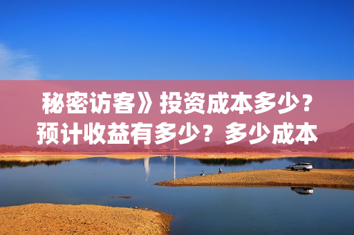 秘密访客》投资成本多少?预计收益有多少?多少成本?(秘密访客演什么) 秘密访客》投资成本多少?预计收益有多少?多少成本?(秘密访客演什么)
