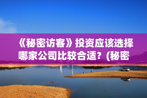 《秘密访客》投资应该选择哪家公司比较合适？(秘密访客票房破亿 视频)