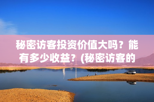 秘密访客投资价值大吗?能有多少收益?(秘密访客的票价) 秘密访客投资价值大吗?能有多少收益?(秘密访客的票价)