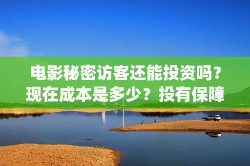 电影秘密访客还能投资吗？现在成本是多少？投有保障吗？怎么投资？(解读电影秘密访客)