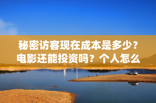 秘密访客现在成本是多少？电影还能投资吗？个人怎么参与？(秘密访客好吓人)
