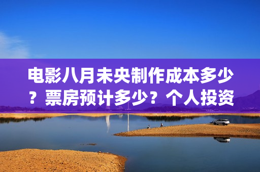 电影八月未央制作成本多少？票房预计多少？个人投资份额真实吗？(电影八月未央制片人是谁)