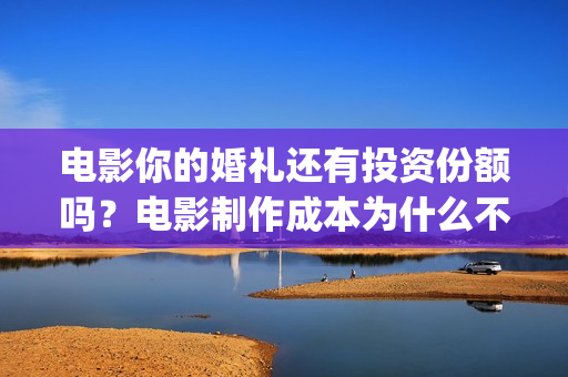 电影你的婚礼还有投资份额吗？电影制作成本为什么不同？哪种是真的？(你的婚礼dvd)