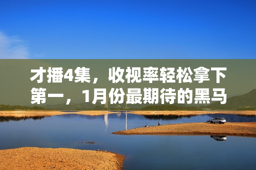 才播4集，收视率轻松拿下第一，1月份最期待的黑马剧开播就炸了