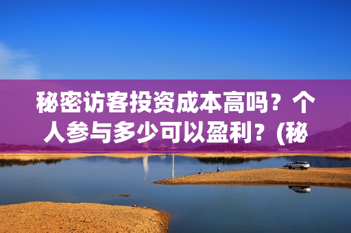 秘密访客投资成本高吗?个人参与多少可以盈利?(秘密访客电影投资效果价目表) 秘密访客投资成本高吗?个人参与多少可以盈利?(秘密访客电影投资效果价目表)