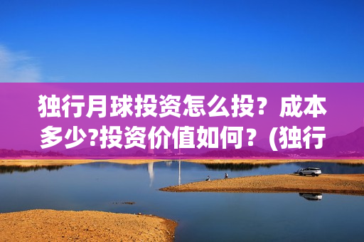 独行月球投资怎么投？成本多少?投资价值如何？(独行月球票房预测)