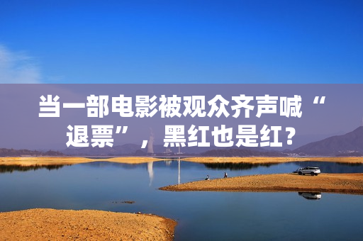当一部电影被观众齐声喊“退票”，黑红也是红？