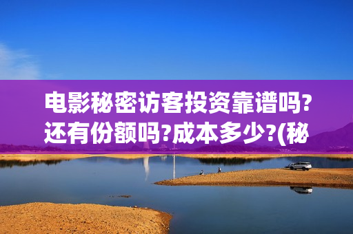 电影秘密访客投资靠谱吗?还有份额吗?成本多少?(秘密访客电影投资效果价目表)