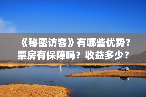 《秘密访客》有哪些优势？票房有保障吗？收益多少？(秘密访客演的到底是啥)