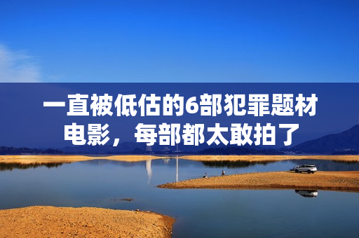 一直被低估的6部犯罪题材电影,每部都太敢拍了 一直被低估的6部犯罪题材电影,每部都太敢拍了