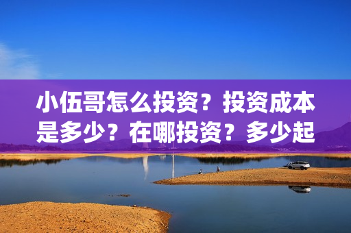 小伍哥怎么投资?投资成本是多少?在哪投资?多少起投?(小伍哥个人资料) 小伍哥怎么投资?投资成本是多少?在哪投资?多少起投?(小伍哥个人资料)