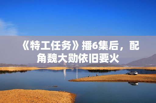 《特工任务》播6集后，配角魏大勋依旧要火